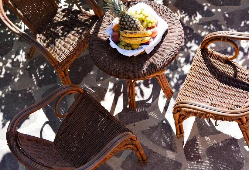 四人标准间, Danila