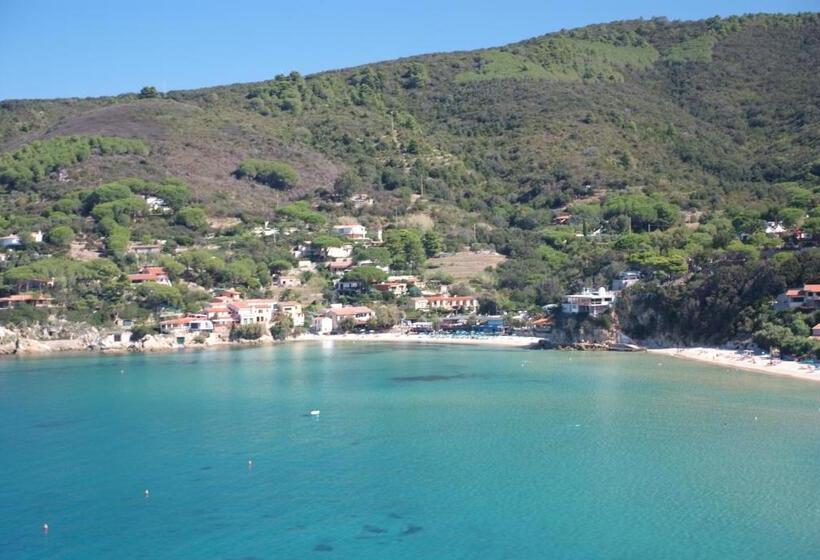 四人标准间, Danila