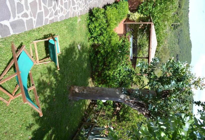 带海景的标准房, Danila