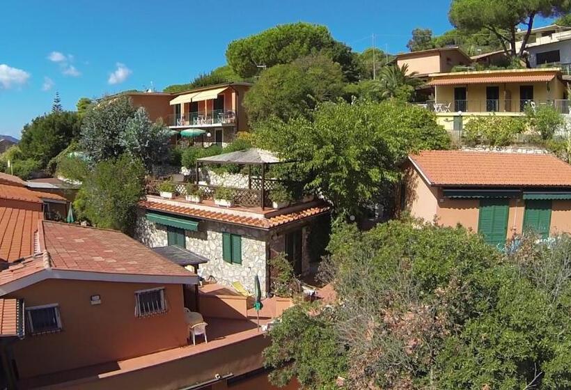 园景标准四人间, Danila