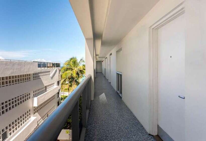 اتاق سوپریور با تخت بزرگ, De Bonart Naples Curio Collection By Hilton