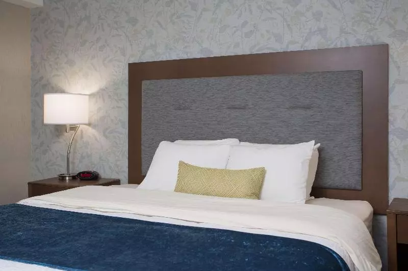 سوییت, Eurostars Centrale Palace