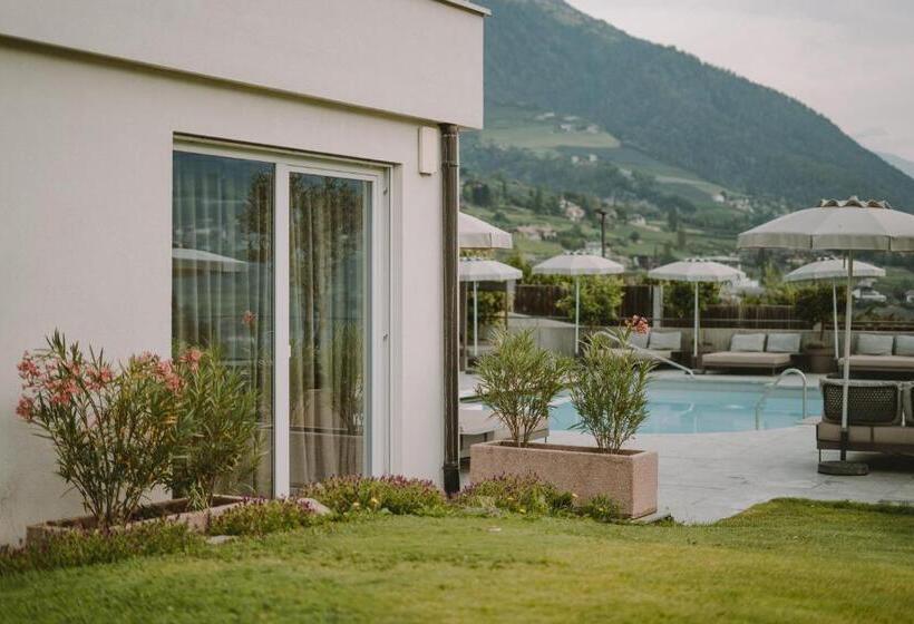 スタンダードルーム, Lisetta