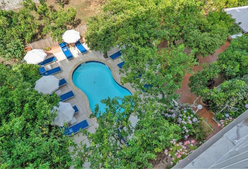 プールビュースタンダードルーム, Regina