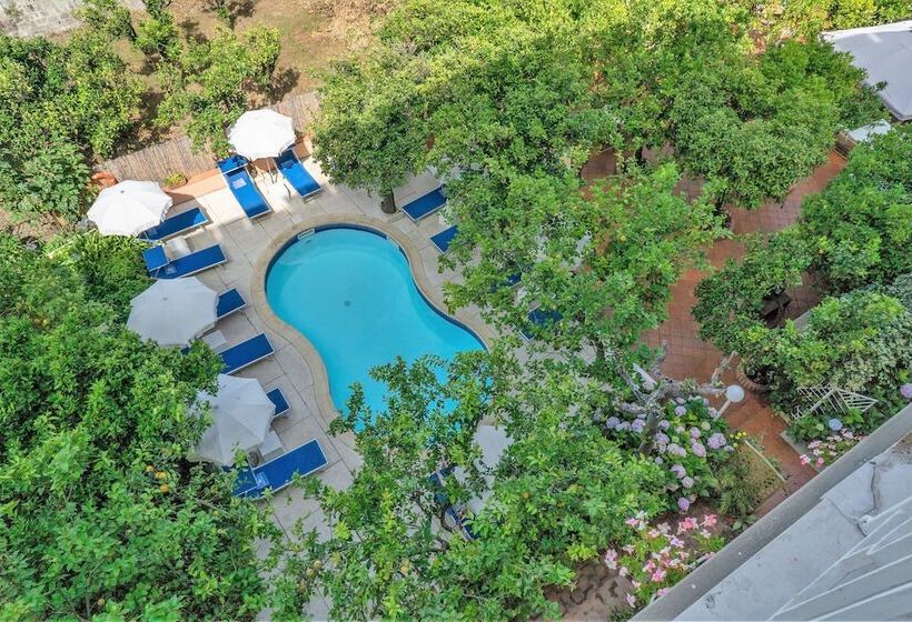 プールビュースタンダードルーム, Regina