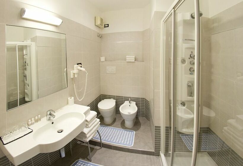 اتاق استاندارد یک نفره, Roma