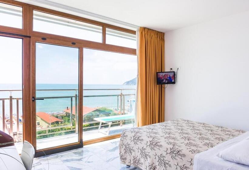 جناح ديلوكس, Rondine