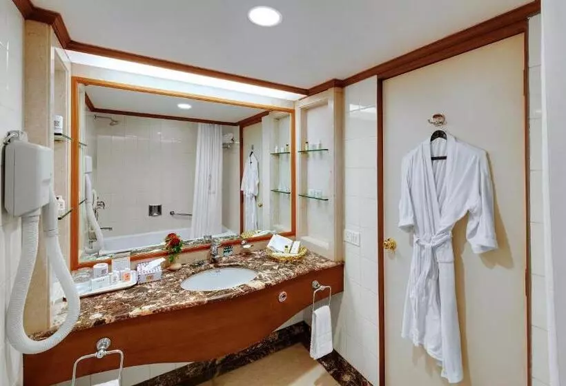 デラックスルーム, Ambassador Ajanta Hotel, Aurangabad