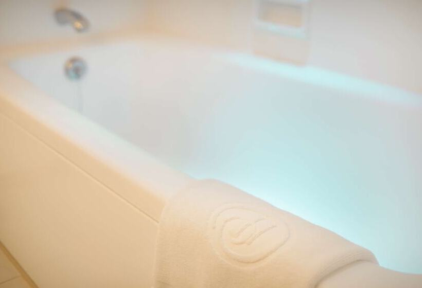 スタンダードルーム, Hilton Tokyo Bay