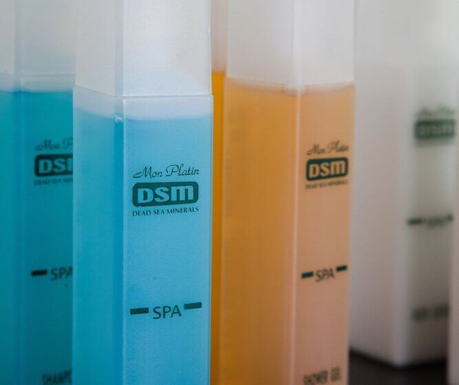 이그제큐티브 룸, Leonardo Plaza Hotel Jerusalem