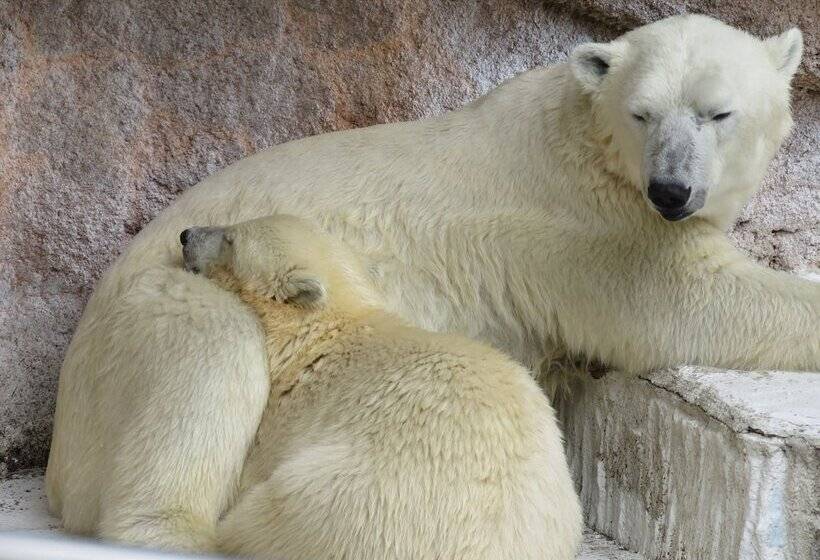 Номер Superior, Miyako City Osaka Tennoji