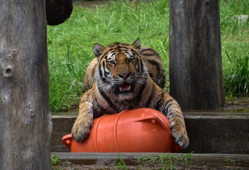 Номер Superior, Miyako City Osaka Tennoji