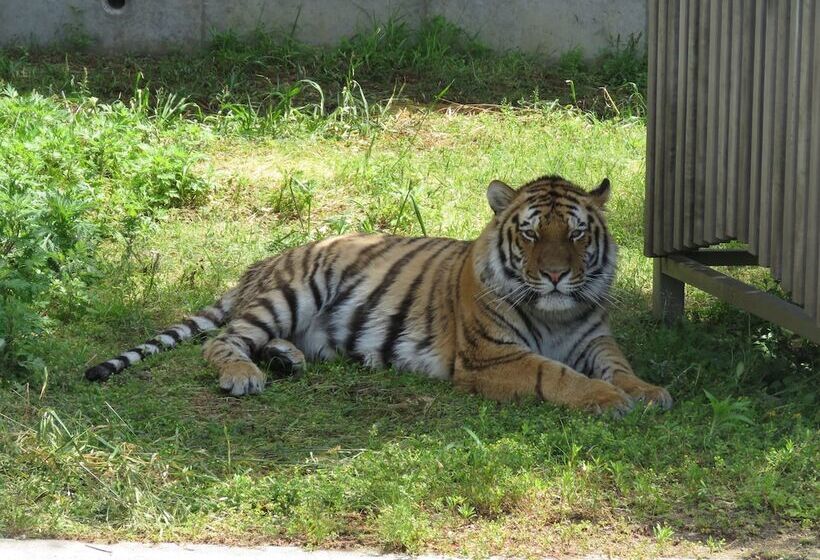 Номер Superior, Miyako City Osaka Tennoji