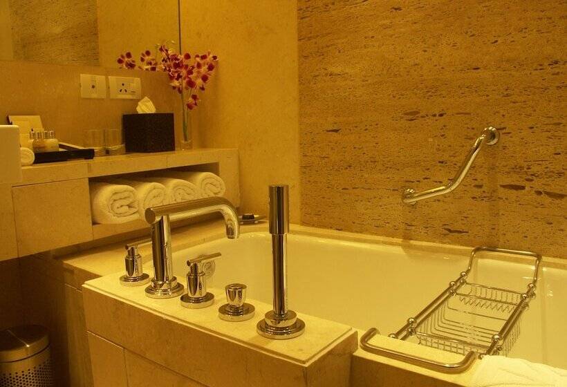 Полулюкс, Taj Coromandel