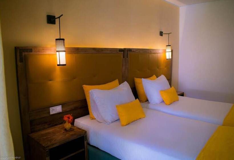 スタンダードルーム, Hamilton Agadir