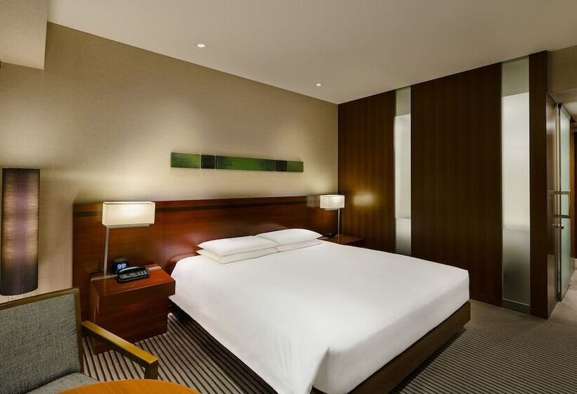Номер Deluxe с Видом, Hyatt Regency Tokyo