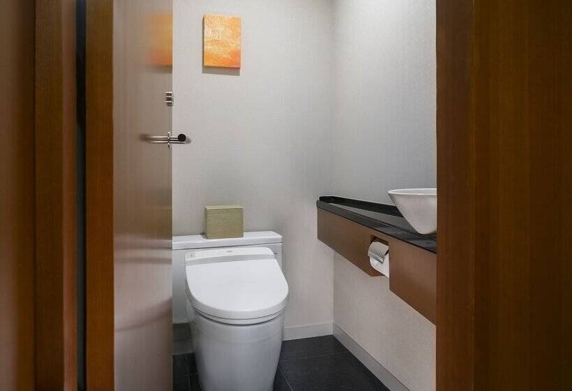 Номер Deluxe с Видом, Hyatt Regency Tokyo