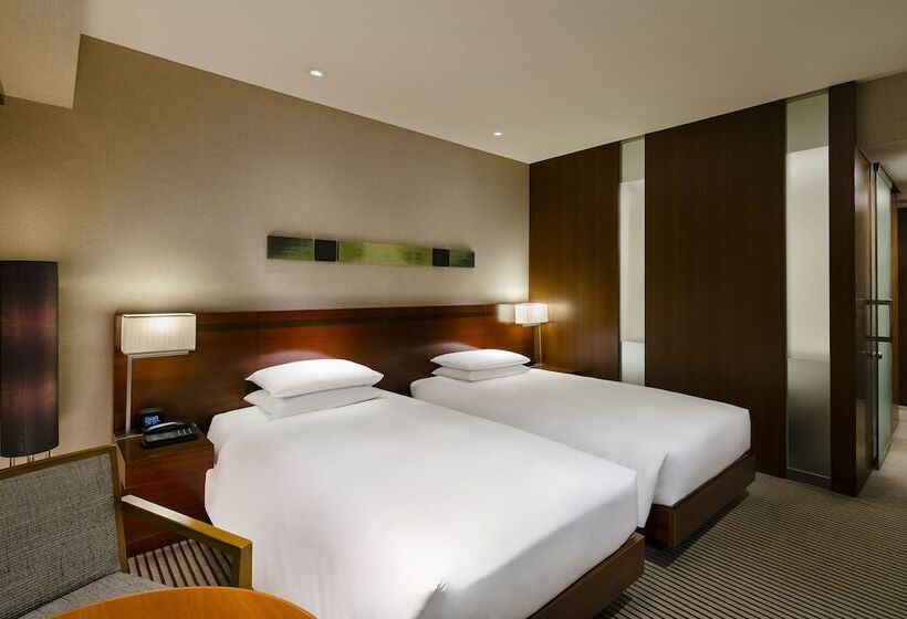 Номер Deluxe с Видом, Hyatt Regency Tokyo