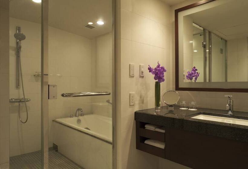 Люкс, Hyatt Regency Tokyo