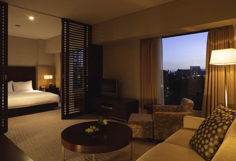 Люкс, Hyatt Regency Tokyo