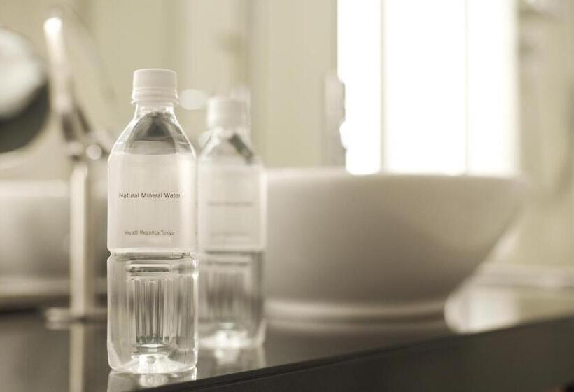 Номер Deluxe с Видом, Hyatt Regency Tokyo