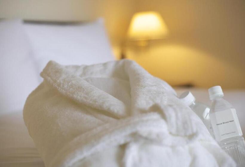 Номер Deluxe с Видом, Hyatt Regency Tokyo