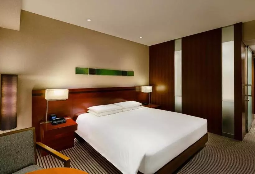景色の見えるデラックスルーム, Hyatt Regency Tokyo