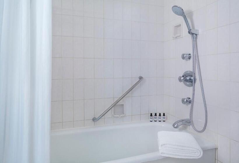 Стандартный Номер Кровать Кинг, Hyatt Regency Tokyo