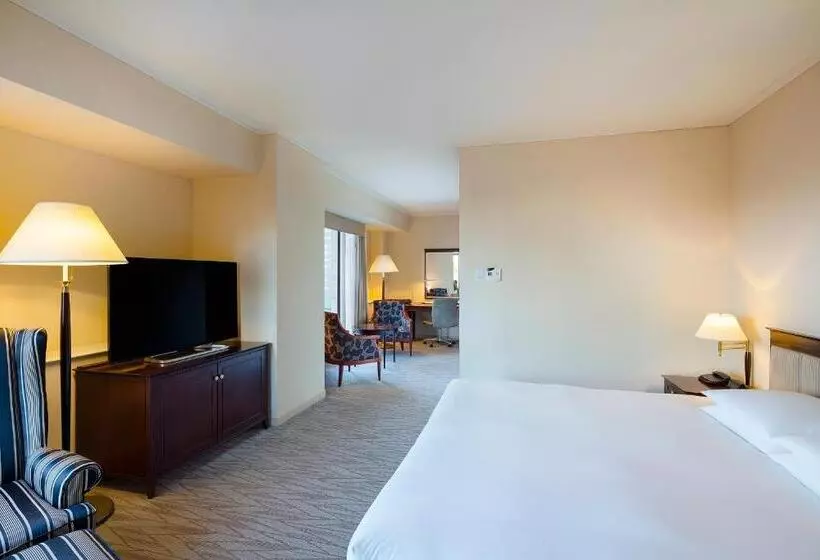キングサイズベッドのデラックスルーム, Hyatt Regency Tokyo
