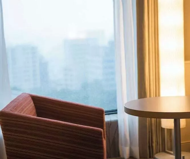 スタンダードシティビュールーム, Hyatt Regency Tokyo