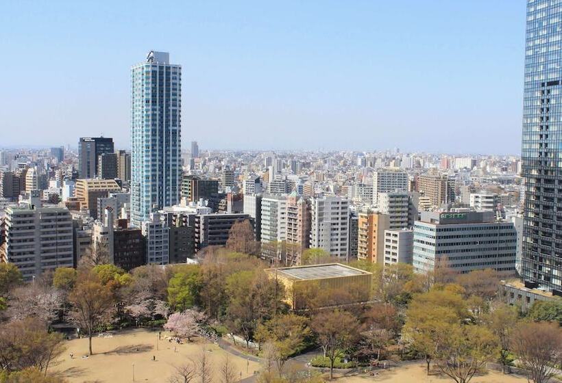 Номер Deluxe с Видом, Hyatt Regency Tokyo