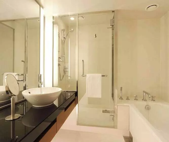 景色の見えるデラックスルーム, Hyatt Regency Tokyo