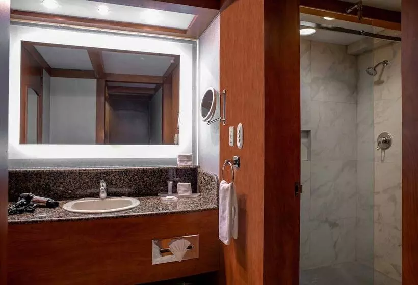 スイート, Courtyard By Marriott Mexico City Revolucion