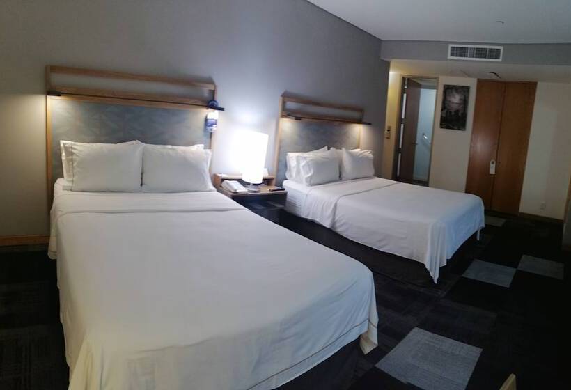 ２ダブルベッドのスタンダードルーム, Holiday Inn Express Mexico Reforma, An Ihg