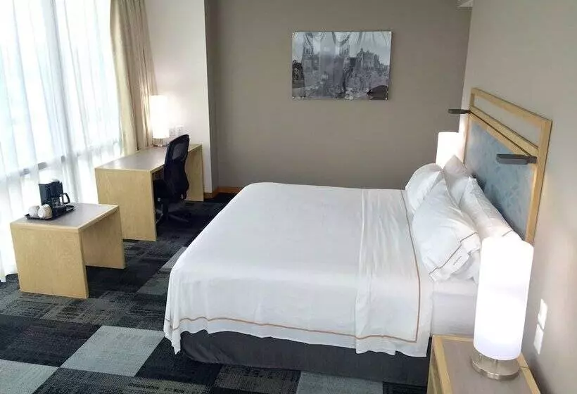 スタンダードルーム, Holiday Inn Express Mexico Reforma, An Ihg