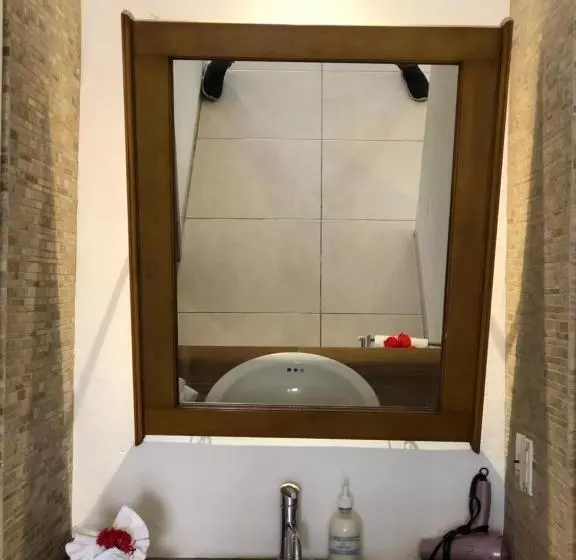 اتاق سوپریور, Playa Azul Cozumel