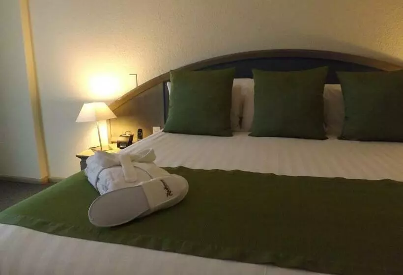 キングサイドベッドのスタンダードワンルーム, Radisson Paraiso Hotel Mexico City