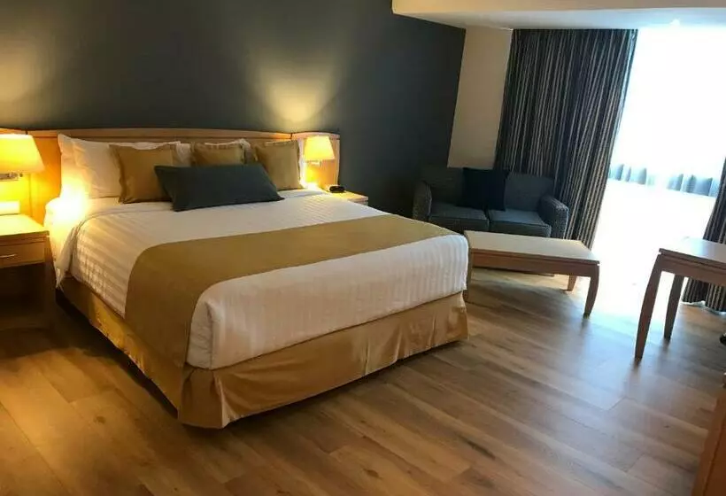 キングサイズベッドのスタンダードルーム, Radisson Paraiso Hotel Mexico City