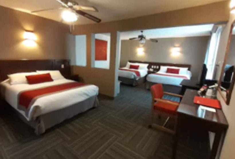 标准间, Ramada Plaza By Wyndham Leon