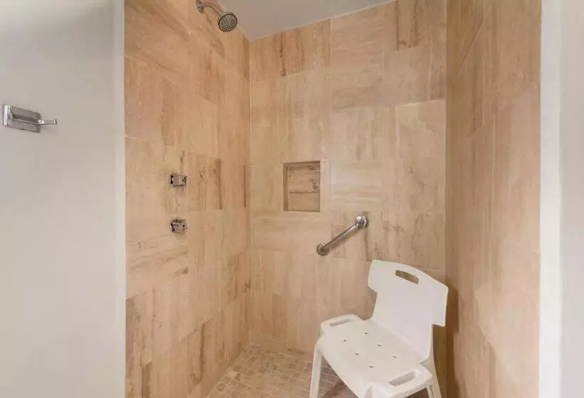 اتاق استاندارد برای معلولان, Ramada Plaza By Wyndham Leon