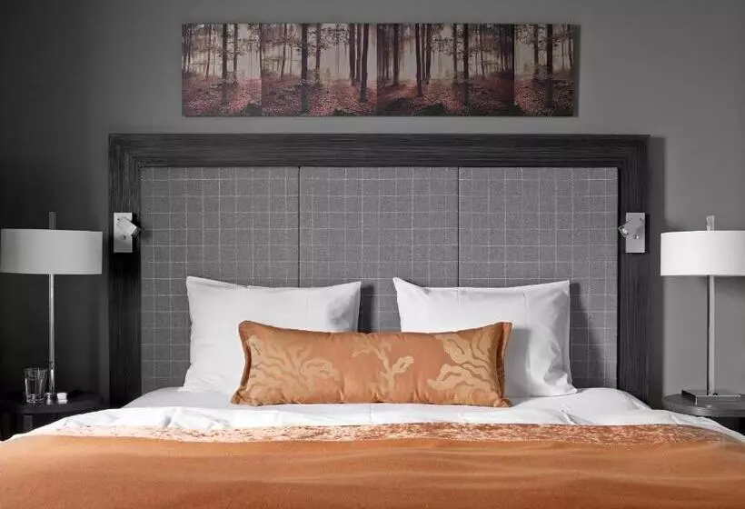 اتاق استاندارد پلاس, Soria Moria Hotell