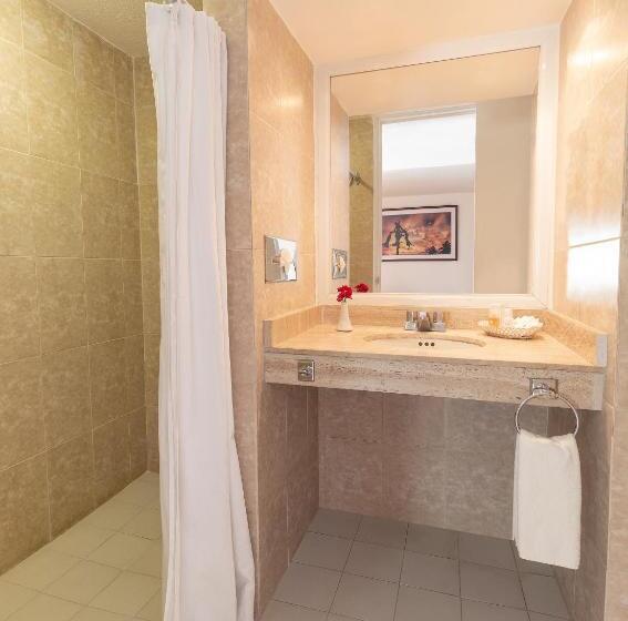 小型套房, Veracruz Centro Histórico