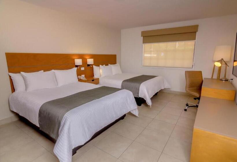 חדר אקזקיוטיב, Gamma Guaymas Armida