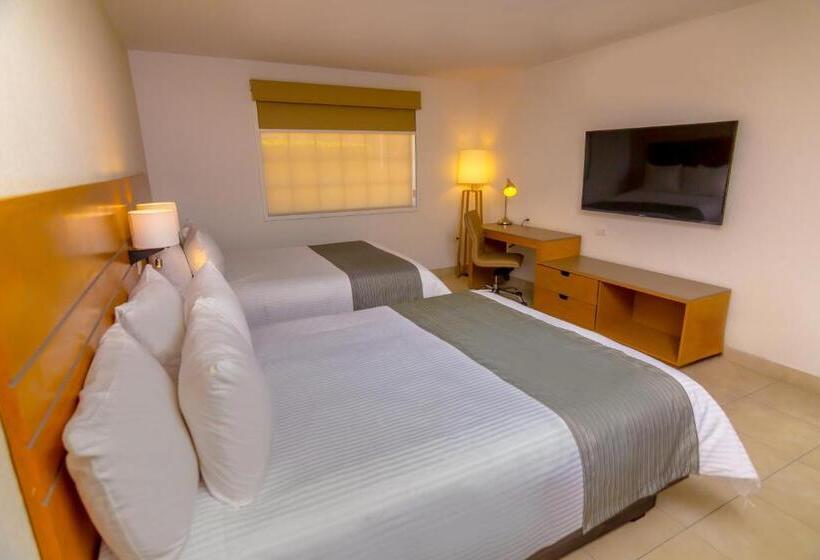 חדר אקזקיוטיב, Gamma Guaymas Armida