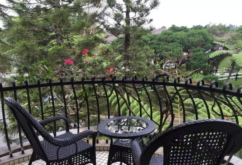استودیوی استاندارد, Strawberry Park Resort