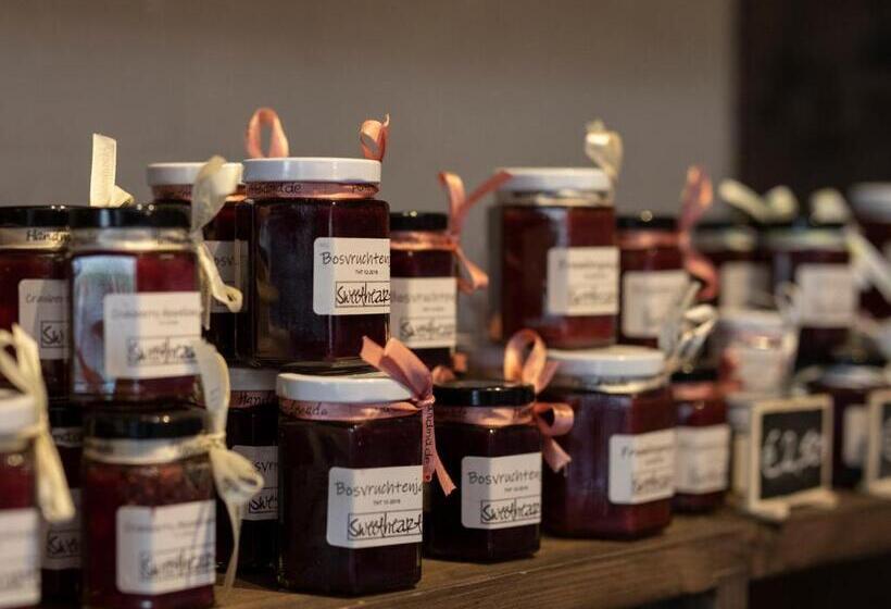 اتاق لوکس با تراس, Fletcher Hotel Restaurant Wolfheze