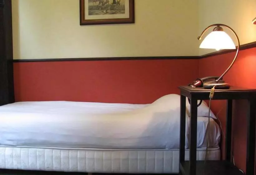 اتاق استاندارد یک نفره, Parkhotel Mastbosch Breda