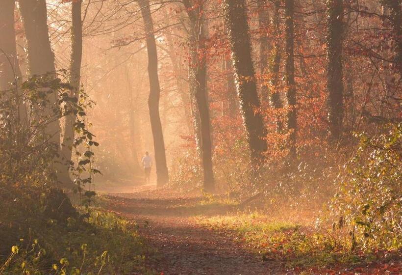 غرفة قياسية, Parkhotel Mastbosch Breda