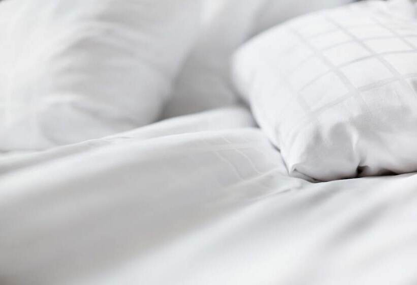 高级大房间, Scandic Fauske