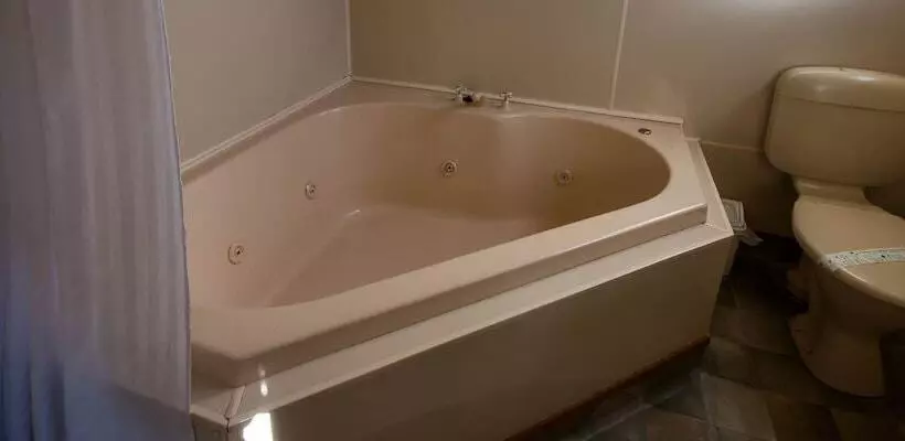 一ベッドルームエクゼクティブアパートメント, Charles Court Motel